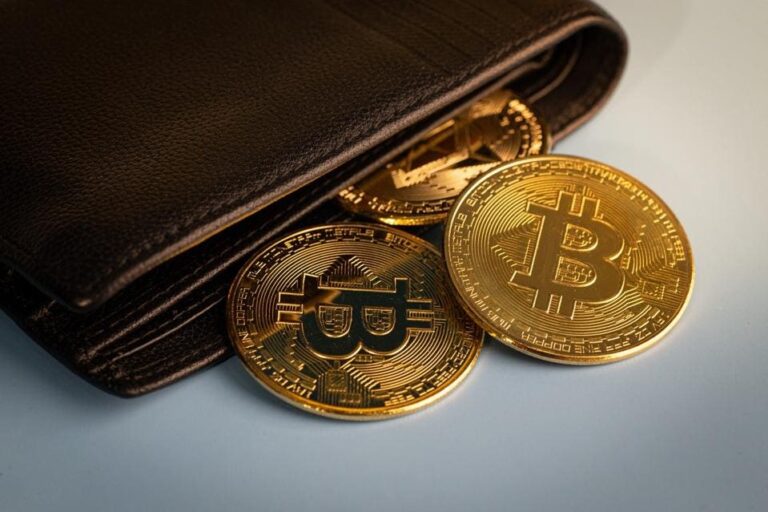 panduan-lengkap-memahami-wallet-crypto